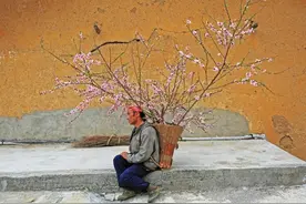 摄影师记录三峡移民27年：老汉背桃树离开故乡，多座城市被淹没图片