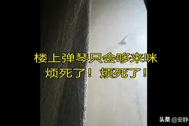 楼上弹琴五年只会哆来咪，音效反制得安宁图片