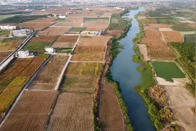 中国农科院作科所数十种生物育种新成果在海南集中展示图片