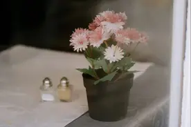 千万不要对「精神伴侣」有幻想图片