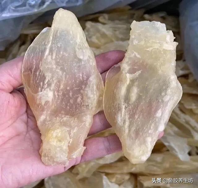 越南巴沙鱼胶好吗 2026年越南巴沙鱼的功效与作用