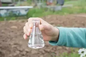 还在纠结磷酸二氢钾到底如何使用？园艺师一篇文章帮你彻底搞清楚图片