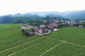 重走东坡古道 体验新登千年古城魅力图片