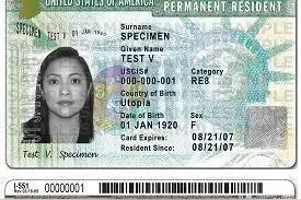 美国绿卡到底是什么？绿卡的弊端有哪些？图片