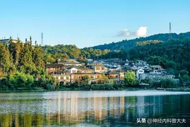 这几种零食正在偷偷"摧毁"你的胰岛，医生忠告：不论男女都要少吃图片