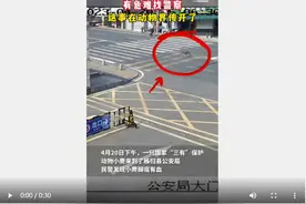 有困难就找警察在动物界传开了 湖北宜昌小麂跑到公安局“求助”图片