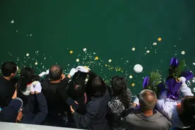 非凡十年 · 民政答卷｜青岛社会事务篇图片