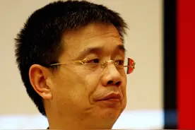 朱保国医药版图扩张卷入医疗反腐风暴 健康元两年投89亿推广营收净利双失速图片