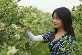 蓝莓开花 是蓝色的吗？图片