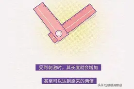 关于女性私密部位的7个小知识，女生不要羞于了解图片