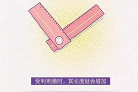 关于女性私密部位的7个小知识，女生不要羞于了解图片