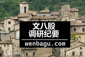 钛白粉及钛材料专家交流纪要–20230210图片