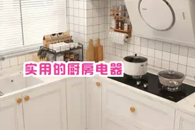 这4样厨房电器，有条件一定要买，价格小贵但很实用图片