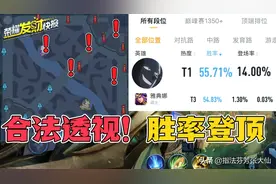 首个合法透视！出场率大涨还能胜率登顶！新的版本答案诞生图片