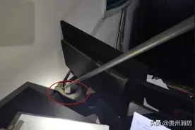 钻到办公桌上了！六盘水一加油站蛇出没图片