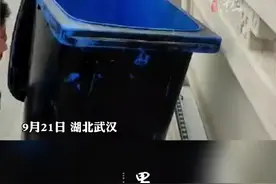 小区保安抓捕流浪狗母子后倒入河中图片