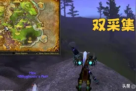 魔兽WLK：P1阶段如何赚金币？5种常见方法分析，1个专业比较吃香图片