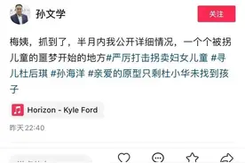 全网关注！人贩“梅姨”抓住了？多地警方最新回应：没这回事图片