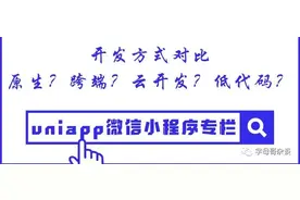 开发小程序的五种方式对比，跨端？低代码？原生？还是云开发？图片