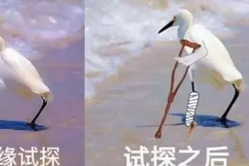 只要胆子大，没带出入境证件也不怕？图片