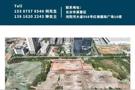 快看！芙蓉区这些地块、商铺招商！图片