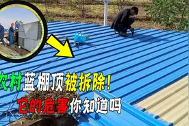 农村随处可见的蓝棚顶，为啥要强制拆除，它的存在碍了谁的眼？图片