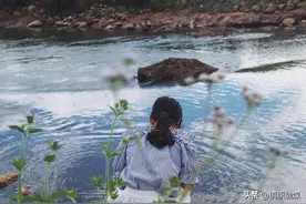 人是叫不醒的，只能痛醒图片