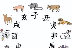 越南也有12生肖，2023年不是兔年而是猫年，为什么兔子被换成猫？图片
