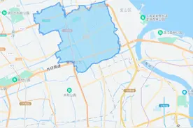 宝山杨行板块实探图片