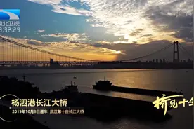 长江上一座桥能带动武汉多少GDP？图片