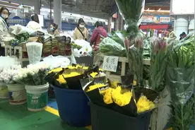 清明节祭扫，这些一定要了解→图片