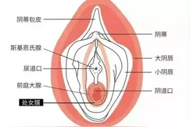 “破处”一定会流血？处女膜还能修复？很多人都想错了！图片