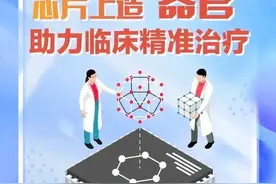 科普 | 芯片上造“器官” 助力临床精准治疗图片