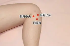 舒筋止痛——阳陵泉穴图片
