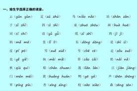 一年级语文生字、词语、句子、拼音笔画专项训练（可打印）图片