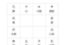 十二宫对应身体部位及脏器图片