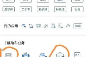 交管12123自选车牌号自编车牌号攻略图片