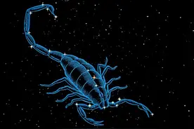 十二星座之天蝎座图片