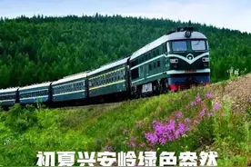 巍巍兴安岭 百年牙林线图片