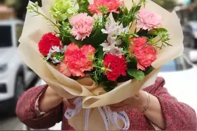 代表着“慈母之心”的康乃馨，亲试繁殖培育，轻松栽种在阳台上！图片