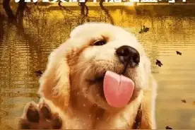 我们每顿饭都少不了的盐，为什么人类要吃盐，动物却不用？图片