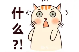 糟心！女子花费千元购买“尊享快递”，不料证件险被寄丢图片
