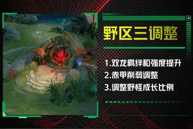 王者荣耀：新赛季野区环境分析，双龙强度增加，刷子英雄发育受限图片