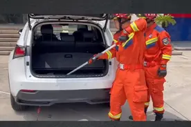 江苏苏州 黄鼠狼拖家带口霸占私家车，车主无奈驱车直奔消防站求助图片