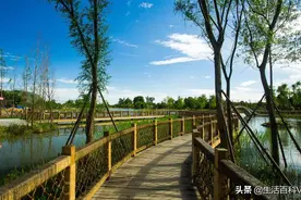 温江区——成都的后花园图片