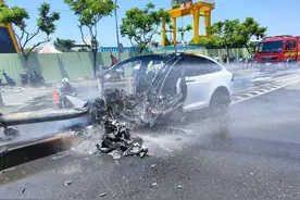林志颖驾车突发车祸，却被扒是特斯拉迷，不仅车买四辆还购入股票图片