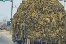 老坛酸菜失业员工哭诉：老祖宗都光脚踩了几百年，我们有什么错？图片