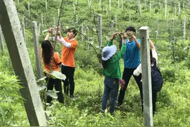 人工造林183万亩，发表300余篇SCI论文！四川这所大学太“硬核”！图片