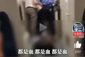 男子在火车上被人持刀杀害！为何未能把凶器拦在安全闸外图片