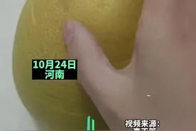 这是买的柚子还是皮？切开6层才见果肉，网友：公摊面积有点大啊图片